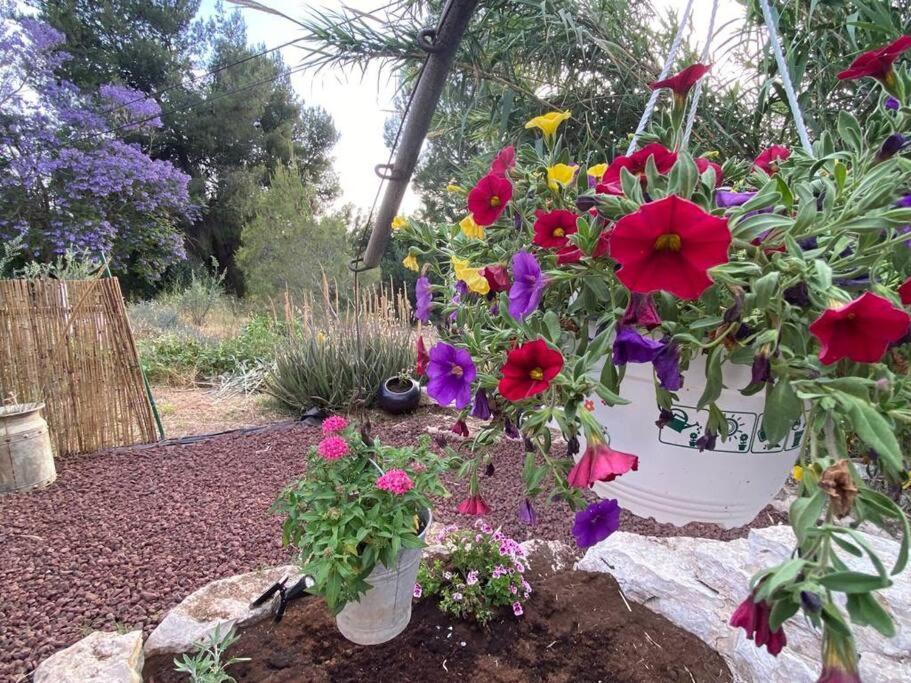 Bit Cabin Near The Airport Kfar Daniel 외부 사진